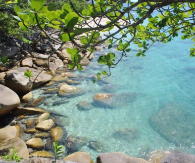 Fitzroy Island